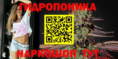 прущие грибы Заводоуковск