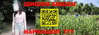 прущие грибы Заводоуковск