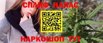 прущие грибы Заводоуковск