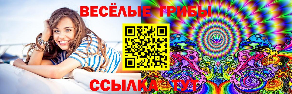 Галлюциногенные грибы Cubensis Вязьма