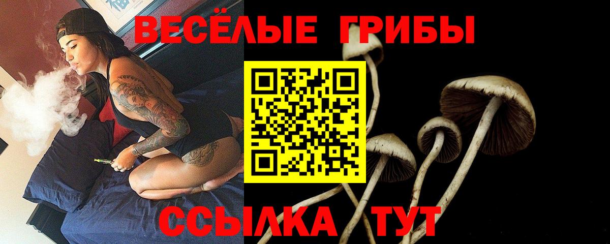 Вязьма  Галлюциногенные грибы мицелий  Вход с VPN 